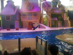 -珠海横琴长隆《卡卡虎奇遇记》