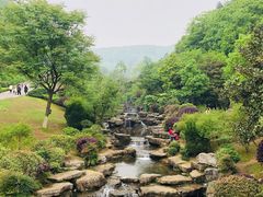 -桃花岭景区