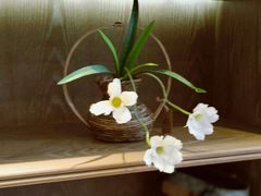 -帐篷客·溪龙茶谷度假酒店