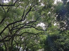 -浙江大学(玉泉校区)