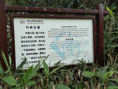 -镇江市南山风景名胜区竹林景区