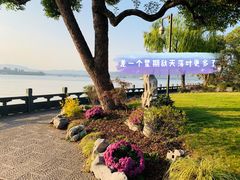 -杭州西湖柳莺里酒店