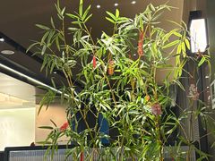 -顺香居·老字号湖北菜(江汉路店)