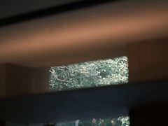 -溯洄咖啡VORTEX COFFEE