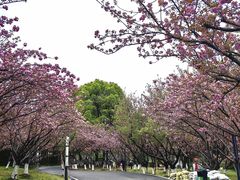 -苏州河梦清园环保主题公园