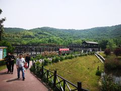 -石塘人家