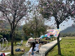 -风云岭森林公园