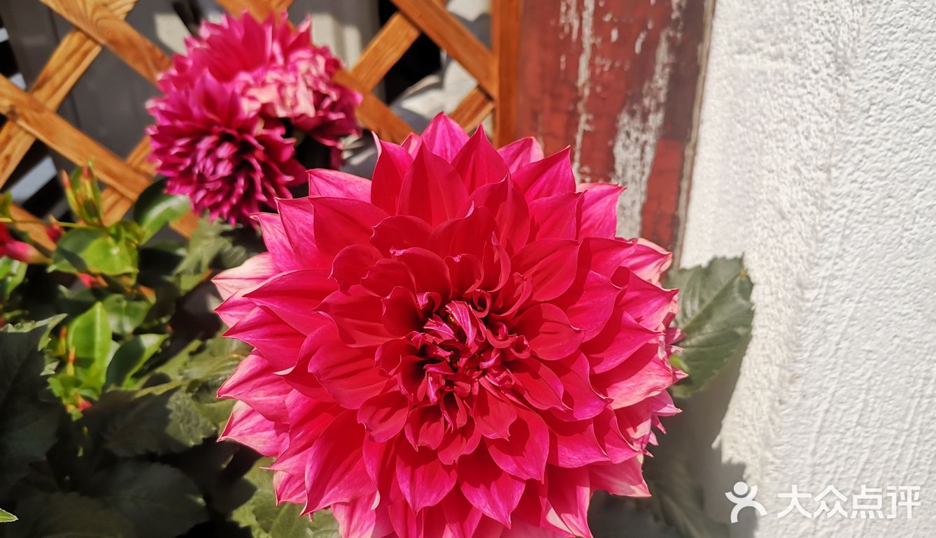 五一假期害怕人太多选择了就近的古镇来玩！