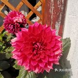 五一假期害怕人太多选择了就近的古镇来玩！