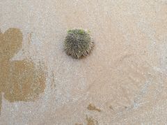 -青岛银沙滩