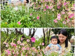 -人民公园(罗湖区)