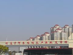 -何庄子阿米玛玛农产品批发市场