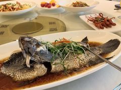 -骏莱海鲜鱼港(五角场店)