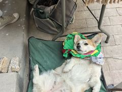 -大理床单厂艺术区