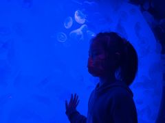 -沈阳海洋探索中心