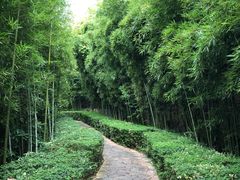 -天目湖涵田度假村