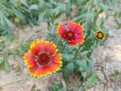 -白水寺森林公园