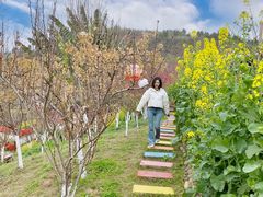 -桃源山庄·水蜜桃采摘·柴火鸡·烧烤团建(龙泉山店)