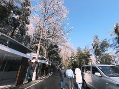 -莫干山风景区