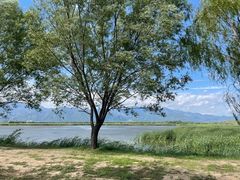 -野鸭湖国家湿地公园