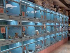 -FAELING PETS美天灵宠物(合生汇店)