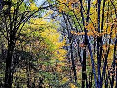 -叠溪松坪沟景区