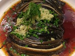 热抢虎尾-圆苑(上海广场店)