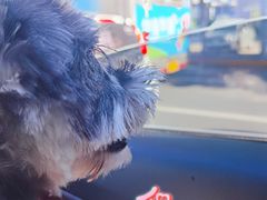 -藁城北服务区-停车场