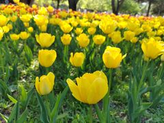 -长春公园(普阳街道)