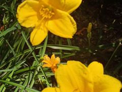 -合肥滨湖国家森林公园