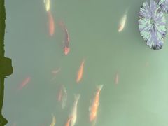 -云溪植物园
