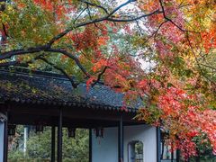 -惠山古镇·寄畅园