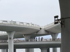 -演武大桥观景平台