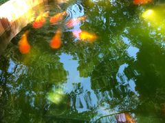 景点-景山公园