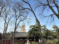 -大慈恩寺(大雁塔)