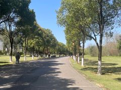 -洋湖国家湿地公园