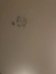 -静博士·养生养颜