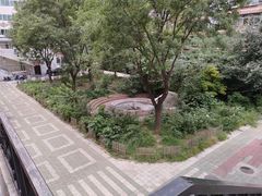 -拉面莊夢語＆中华料理八椿