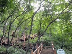 -大岭沟猕猴桃谷风景区