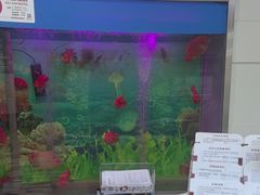 -雅悦齿科(顾村公园店)