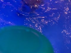 -水王国温泉水世界