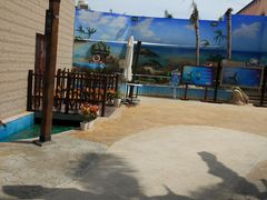 -南海渔家•海鲜•正宗海南菜(海棠湾店)