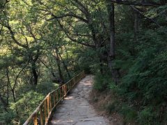 -北京上方山国家森林公园
