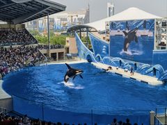 -上海海昌海洋公园