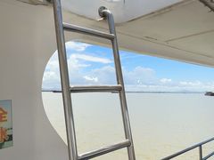 -大湾区中央湿地公园-十九涌