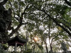 -天一阁博物院