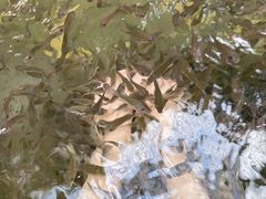 -龙达温泉生态城