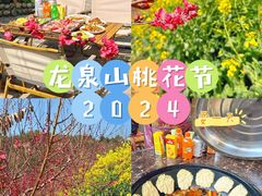 -桃源山庄·水蜜桃采摘·柴火鸡·烧烤团建(龙泉山店)