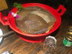 -二荆条·蜀鲜汇城市森林火锅