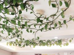 -大麦嘉动物奶油生日蛋糕(军分区新建北路店)